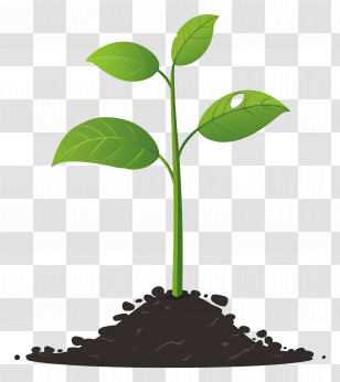 Plant Sprout - Green Sprout Growing In Soil Transparent PNG