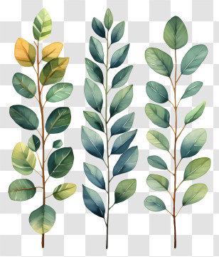 Doodle Watercolor Leaves - Illustration Of Decorative Green Leaf Branches Transparent PNG