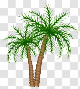 Arecaceae Tree Date Palm Clip Art - Asian Palmyra - Border Transparent PNG