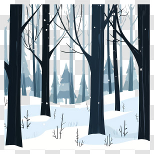 Winter Forest Background - Winter Forest Landscape Transparent PNG