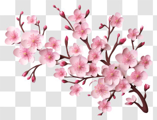 Blank Paper With Cherry Blossoms - Pink Cherry Blossoms On A Branch Transparent PNG