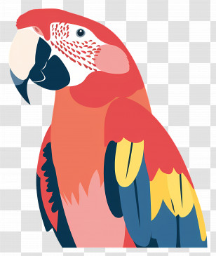 Macaw - Vivid And Colorful Parrot Illustration Transparent PNG