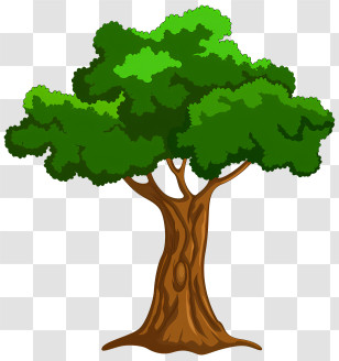 Tree - Dark Green Tree Artwork Transparent PNG