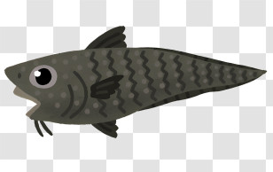 Nature - Cartoon Fish Drawing In Black And Gray Tones Transparent PNG