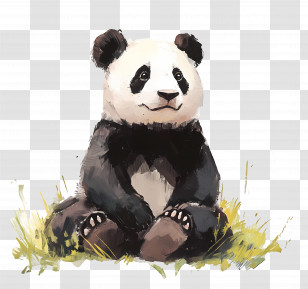 Panda Bear - Panda Illustration Sitting On Grass Transparent PNG