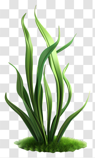 Grass Plant - Green Grass Patch Nature Vignette Art Transparent PNG