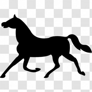 Tennessee Walking Horse Trot Arabian Head Mask - Foal - Colt Transparent PNG