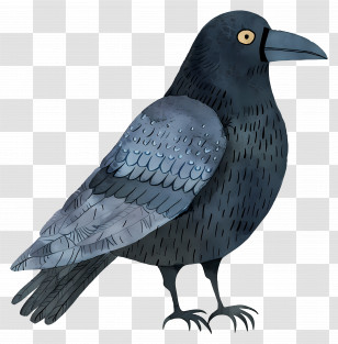 Cartoon Raven - Illustration Of A Black Crow Transparent PNG