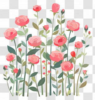 Rose Garden - Botanical Watercolor Pink Roses Illustration Transparent PNG