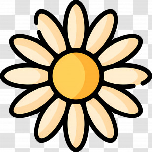 Daisy Flower - Yellow Flower Illustration With Petals Transparent PNG