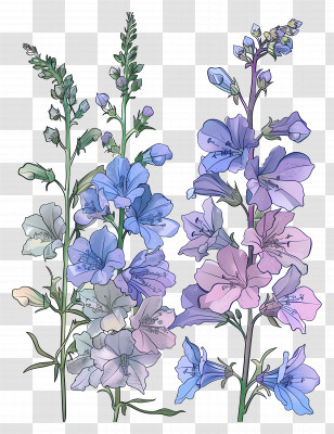 Larkspur - Delphinium Flower Illustration In Blue And Purple Shades Transparent PNG
