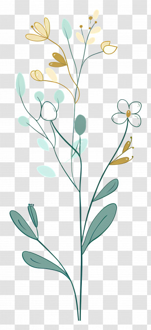 Flower Stem - Delicate Flower Illustration Transparent PNG
