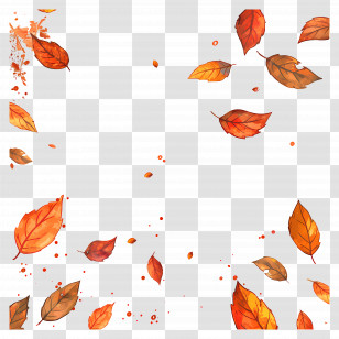 Fallen Leaves - Autumn Leaves Falling Design Transparent PNG