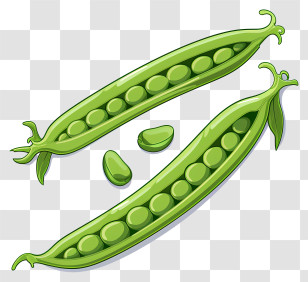 Pea Pods - Illustration Of Green Peas In Open Pods Transparent PNG
