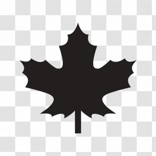 Maple Leaf Canada Clip Art - Cottonwood Transparent PNG