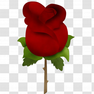 Garden Roses Transparent PNG