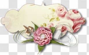 Flower Photography - Scrapbooking Transparent PNG