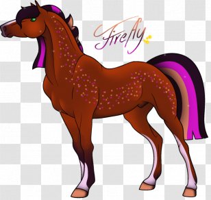 Mustang Foal Stallion Colt Mare Transparent PNG