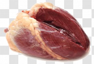 Raw Meat Lamb And Mutton Ribs Beef - Silhouette Transparent PNG