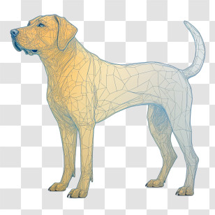 Dog - Geometric Dog Illustration Transparent PNG