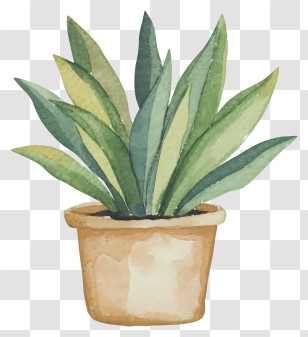 Pink Mug - Potted Green Plant Illustration Transparent PNG