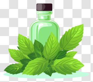 Essential Oil - Glass Bottle Surrounded By Fresh Green Mint Leaves Transparent PNG