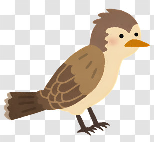 Bird - Brown Bird Illustration Transparent PNG