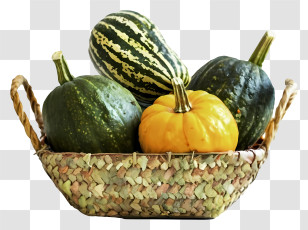 Gourds - Basket Of Colorful Gourds And Squash Transparent PNG