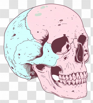 Doodle Skull - Pastel Skull Artwork With Light Colors Transparent PNG