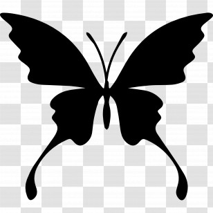 Butterfly Silhouette - Black Butterfly Silhouette Design Transparent PNG