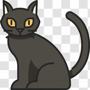 Halloween Cat - Black Cat Cartoon Illustration Transparent PNG