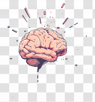 Brain - Cartoon Human Brain Illustration Transparent PNG