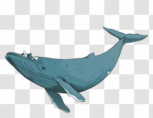 Swimming Blue Whale - Swimming Blue Whale Illustration Transparent PNG