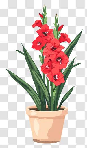 Gladiolus - Red Gladiolus In A Pot Transparent PNG