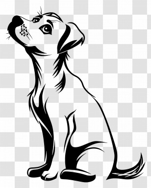 Dog Outline - Black And White Sitting Dog Illustration Transparent PNG