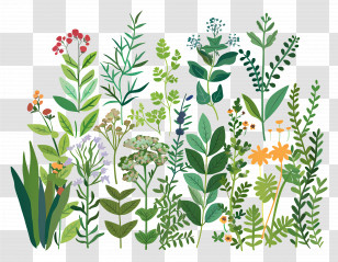 Various Plants - Various Green Plants And Flowers Transparent PNG