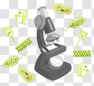 Microscope - Microscope With Bacteria Transparent PNG