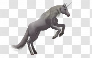 Horse Unicorn - Coreldraw Transparent PNG