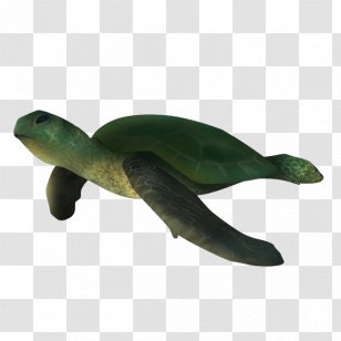 Sea Turtle Silhouette - Drawing Transparent PNG