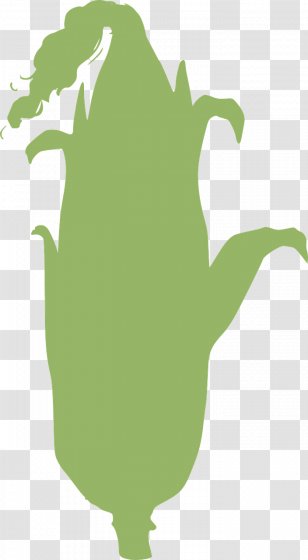 Corn On The Cob Candy Corncob Sweet - Tree Transparent PNG