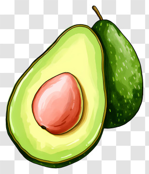 Avocado - Sliced Avocado With Seed Fruit Illustration Transparent PNG
