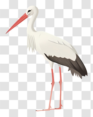 White Stork - Majestic White Stork Standing In Nature Transparent PNG