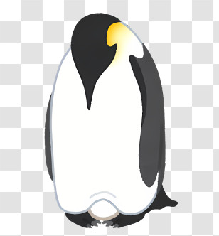 Penguin - Charming Penguin Illustration Transparent PNG