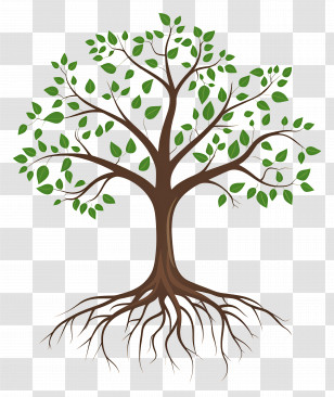 Tree With Roots - Tree Illustration Showing Green Leaves And Roots Transparent PNG