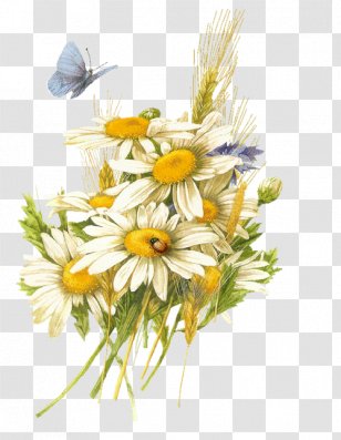 Happy Birthday To You Gift Party Friendship - Yellow - Gerbera Transparent PNG