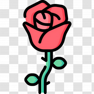 Rose Flower - Red Rose Illustration With Green Leaves Transparent PNG