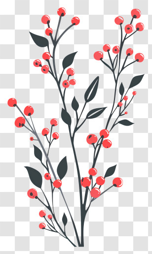 Red Berries Twig - Red Berry Branches Illustration Transparent PNG