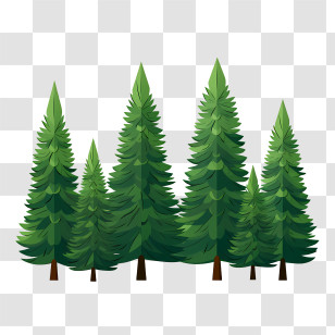 Christmas Tree - Lush Green Evergreen Trees Illustration Transparent PNG