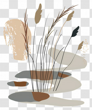 Reed - Abstract Botanical Illustration With Grass Transparent PNG