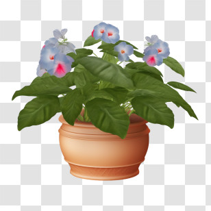Impatiens Flower - Potted Plant With Elegant Pink Flowers Transparent PNG